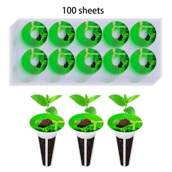 100x Етикет за хидропоника градинска кошница, Етикети за зелени саксии със семена, Етикети за кошници за отглеждане на
