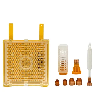 Jenter Система Стартови Комплекти За Отглеждане на Овце Инструмент За Пчеларството Обзавеждане за Пчеларството Доставка Пчеларство Пчеларството Apicultura Apicoltura